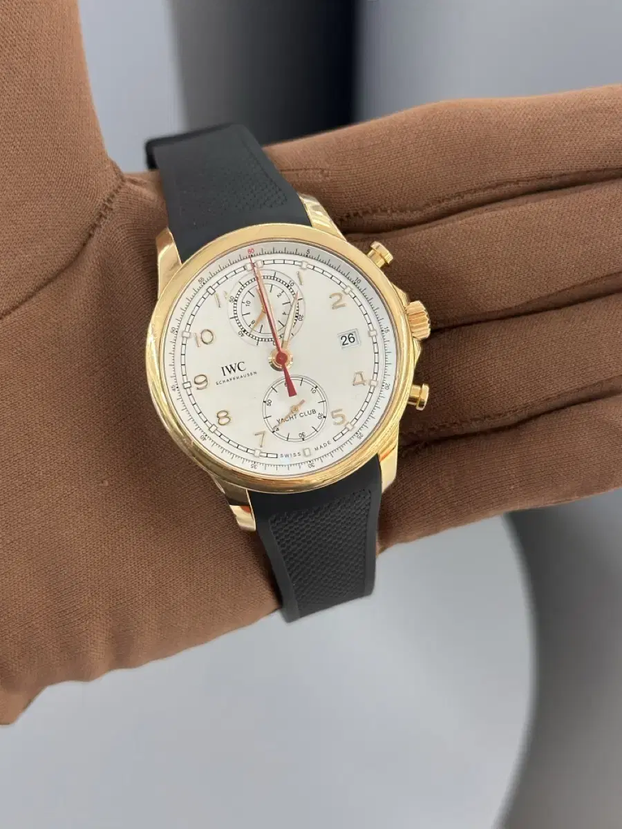 IWC 요트클럽 금통